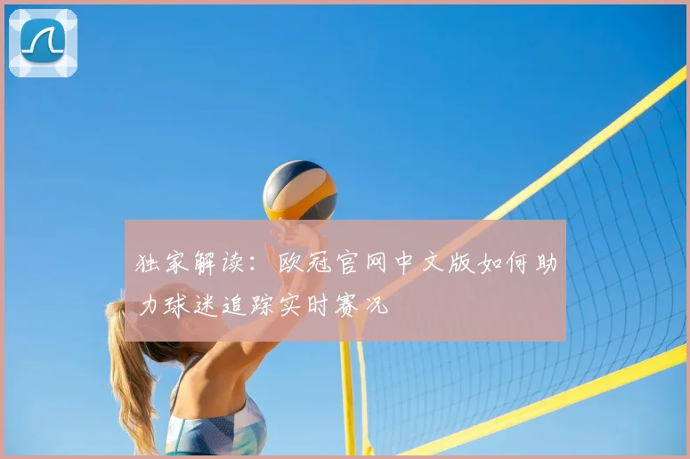 独家解读：欧冠官网中文版如何助力球迷追踪实时赛况