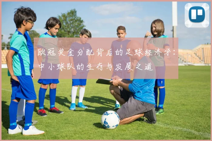 欧冠奖金分配背后的足球经济学：中小球队的生存与发展之道