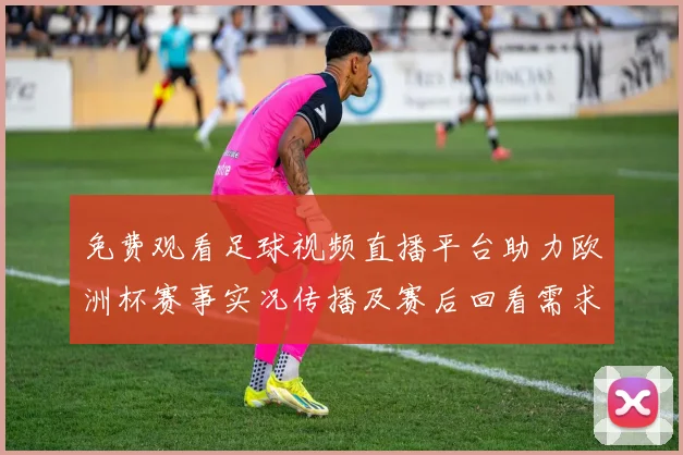 免费观看足球视频直播平台助力欧洲杯赛事实况传播及赛后回看需求增长